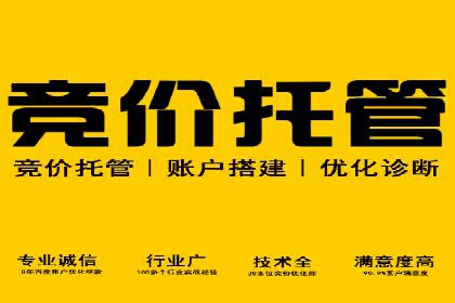 SEM服务助力电商行业案例解读